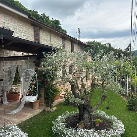 B&B Il Poggetto Serra Sant'Abbondio ภายนอก รูปภาพ