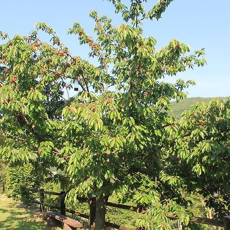 B&B Il Poggetto Serra Sant'Abbondio ภายนอก รูปภาพ