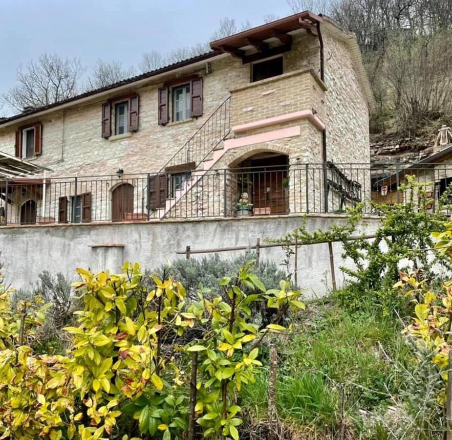 B&B Il Poggetto Serra Sant'Abbondio ภายนอก รูปภาพ