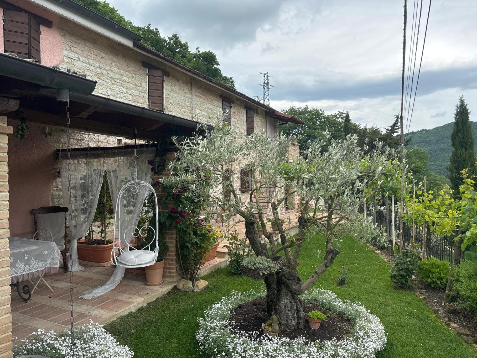 B&B Il Poggetto Serra Sant'Abbondio ภายนอก รูปภาพ