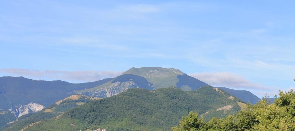 B&B Il Poggetto Serra Sant'Abbondio ภายนอก รูปภาพ