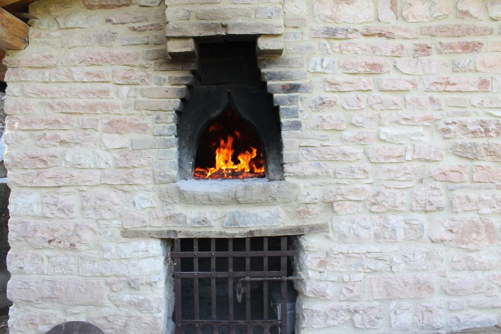 B&B Il Poggetto Serra Sant'Abbondio ภายนอก รูปภาพ