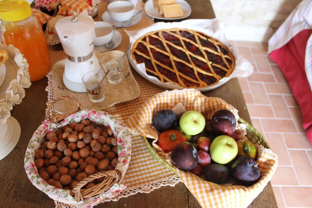 B&B Il Poggetto Serra Sant'Abbondio ภายนอก รูปภาพ