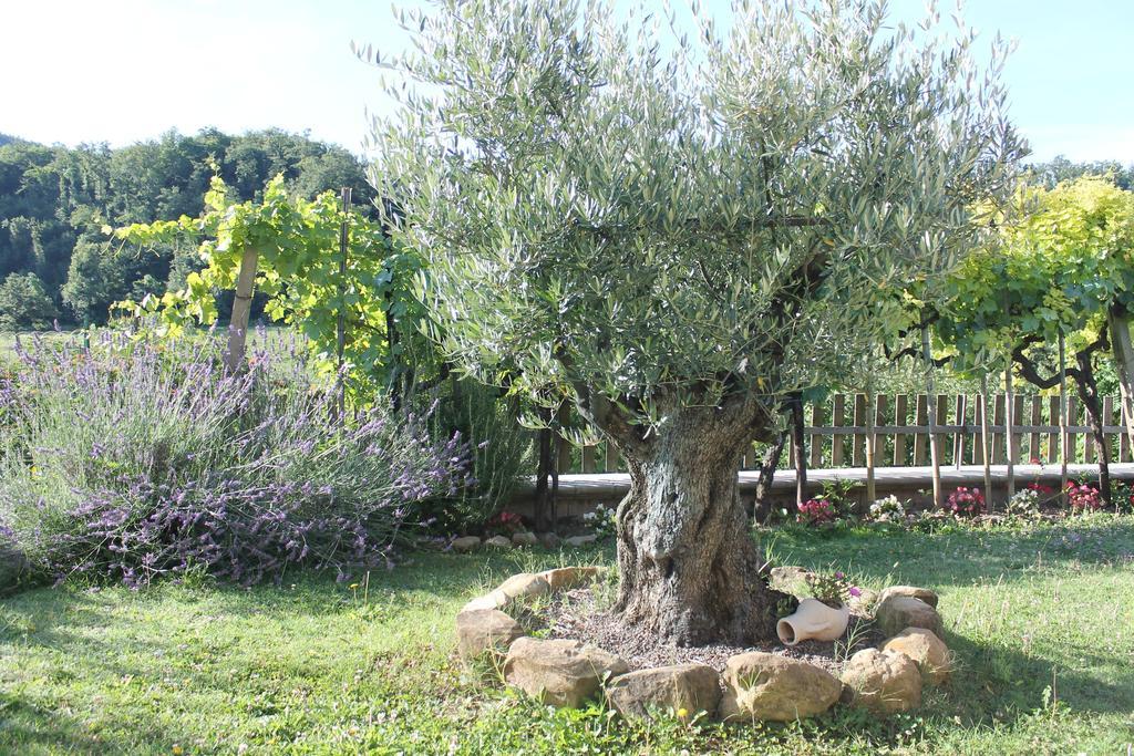 B&B Il Poggetto Serra Sant'Abbondio ภายนอก รูปภาพ
