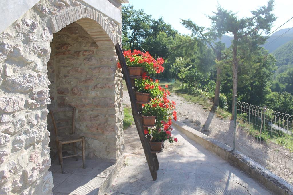 B&B Il Poggetto Serra Sant'Abbondio ภายนอก รูปภาพ