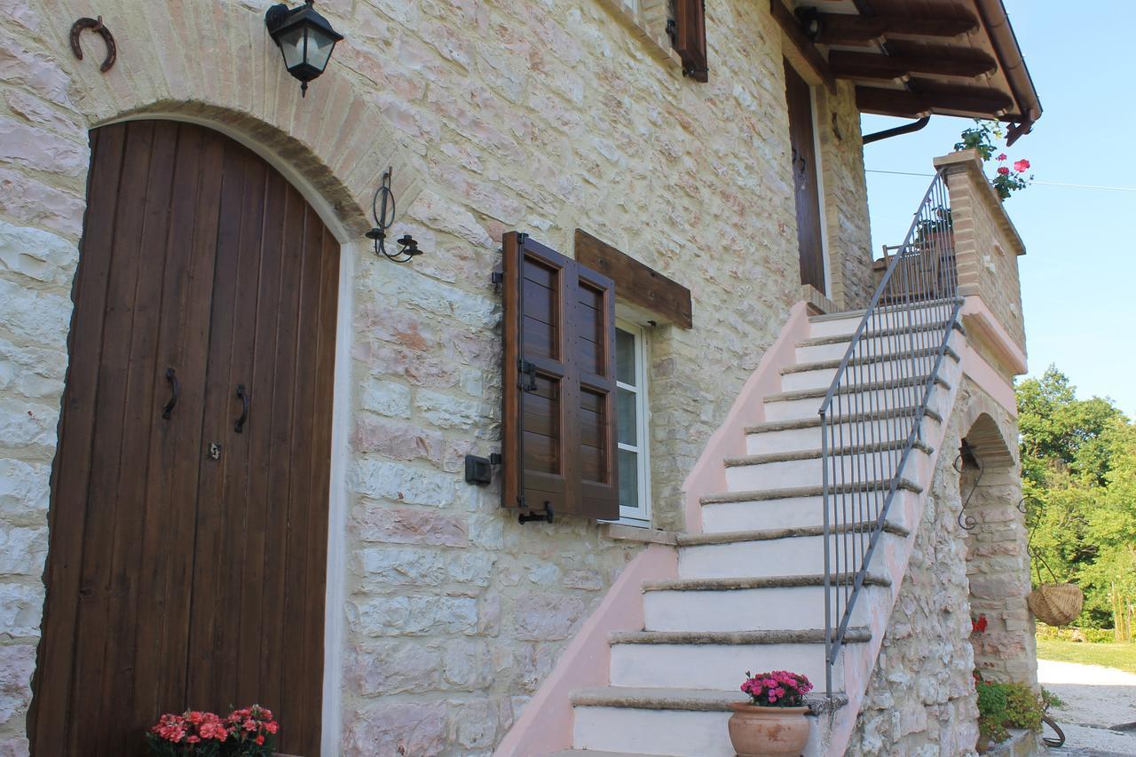 B&B Il Poggetto Serra Sant'Abbondio ภายนอก รูปภาพ