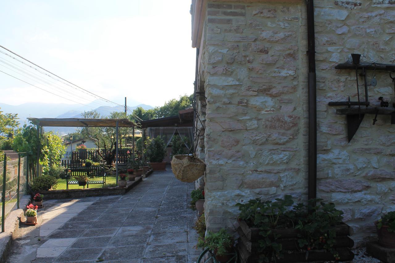 B&B Il Poggetto Serra Sant'Abbondio ภายนอก รูปภาพ
